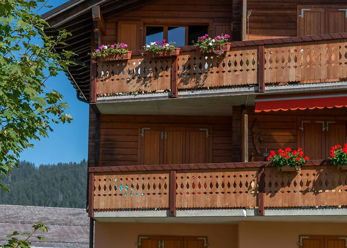 Daire Pic-chaussy B14 Les Mosses