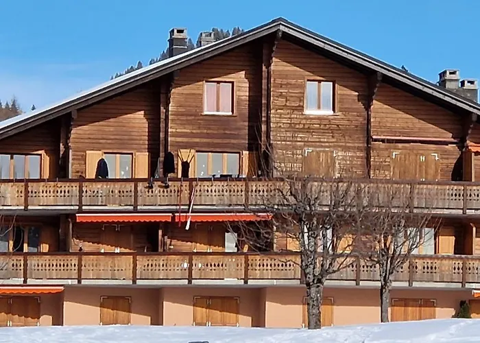 Pic-chaussy B14 * Les Mosses