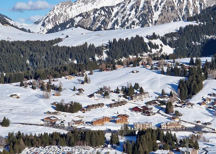 アパート Pic-chaussy B14 Les Mosses