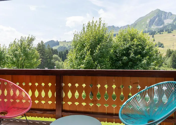 Pic-chaussy B14 莱莫斯